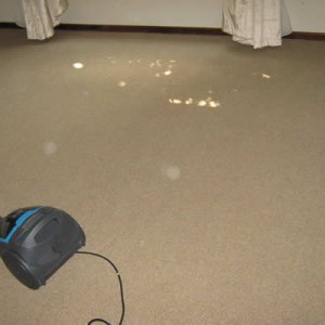 Carpet Installers