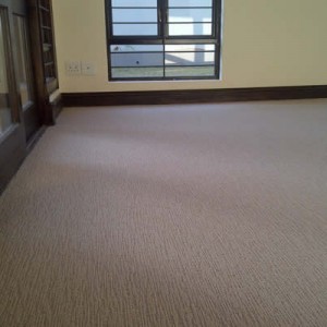 Carpet Installers